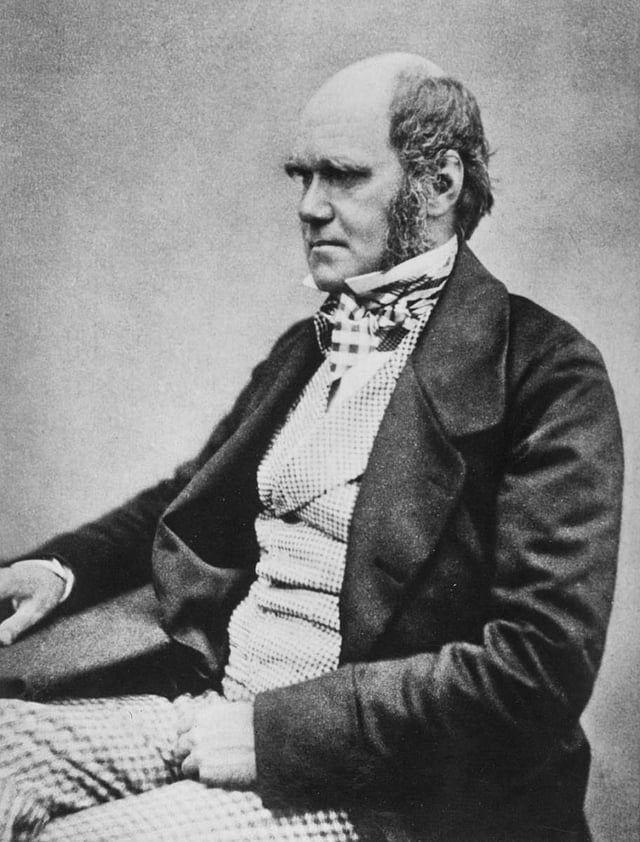 Charles Darwin in 1854, by then working towards publication of On the Origin of Species.