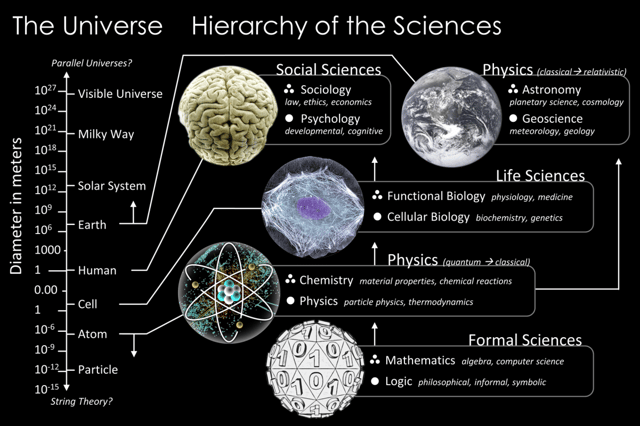The scale of the Universe mapped to branches of science and showing how one system is built atop the next through the hierarchy of the sciences.