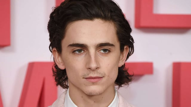 Charlotte transforms into Chalamet