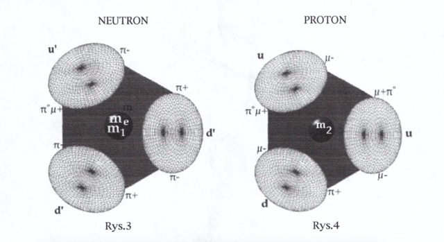 International Scientist: Novel Model of Neutron and Proton