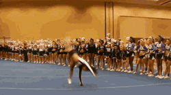 Rice tumbling