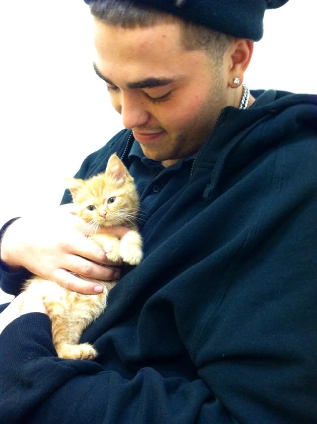 Matthew Menedez with a kitten