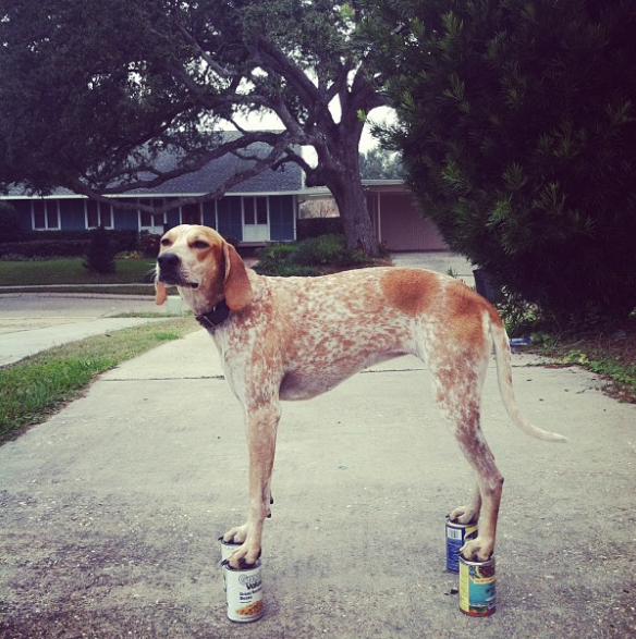 Maddie standing on 4 soup cans