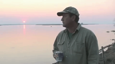 Video clip of Botha talking about his hunt for elephants.