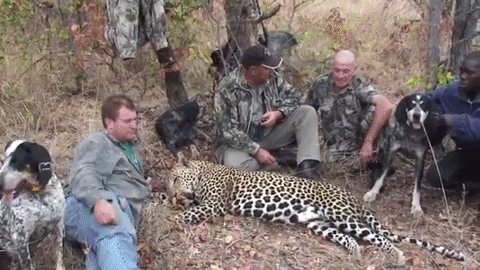 Botha with his clients after hunting a leopard.