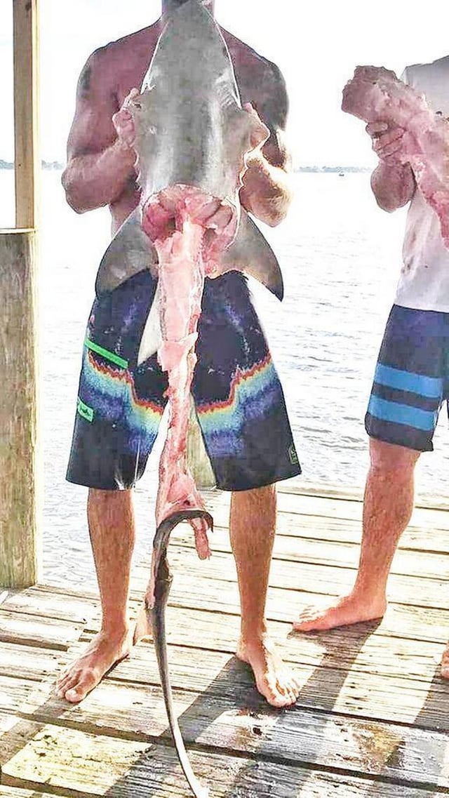 Photo Michael sent to Mark "The Shark" Quartianoa of the shark's carcass in the aftermath of the cruel video