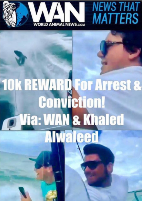 Prince Khaled bin Alwaleed and World Animal News are offering a $10,000 reward for the arrest and conviction of Michael his friends behind the animal cruelty incidents