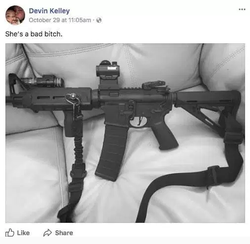 Photo he posted of his gun.