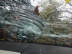 Photo of the shattered windscreen on Jason and Victoria Chapa's 2008 Lincoln MKX alleged to have been caused by Melissa Shelton.
