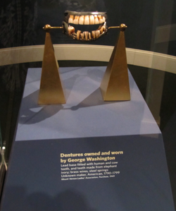 George Washington's set of false teeth on display at the Ronald Reagan Presidential Library.