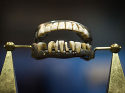 Close-up photo of George Washington's false dentures.