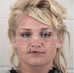 One of the first mugshots of Anika Witt.