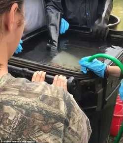 Photo of students filling a garbage can with water so Dewie Brewton could drown the raccoons