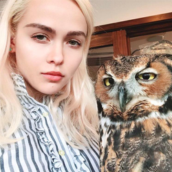 Olive with an owl