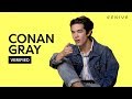 Conan Gray "Crush Culture" Official Lyrics & Meaning (via Genius)