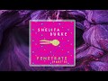 Shelita Burke - Penetrate Part 2