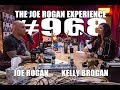 Kelly Brogan on the Joe Rogan Experience podcast; Ep. 968