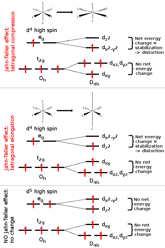 Above: JT effect is observed as tetragonal elongation and compression in octahedral high-spin d4 complexes due to net change in the energy of electrons (notice odd amount of electrons in eg-orbital). Below: JT effect doesn't occur if there is no net change in energy (notice even amount of electrons in eg-orbital).