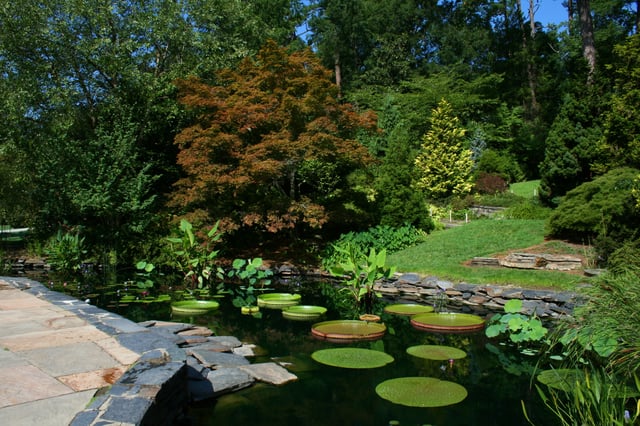 The Sarah P. Duke Gardens attract more than 300,000 visitors each year