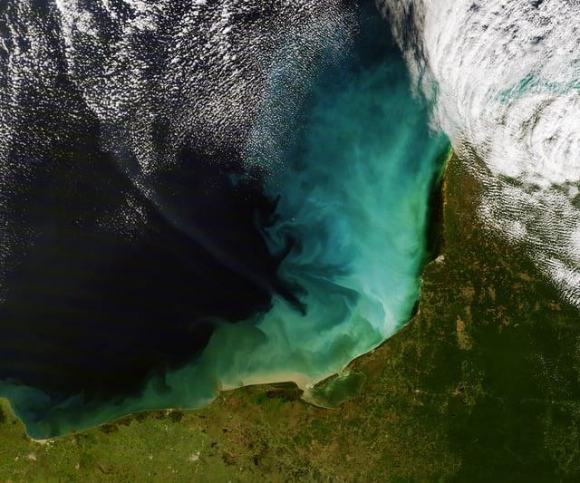 Sediment off the Yucatán Peninsula.
