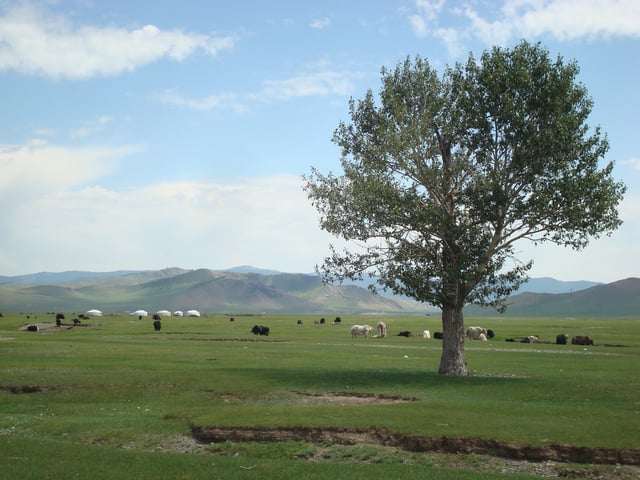 Pasture land in Arkhangai Province. Mongolia was the heartland of many nomadic empires.