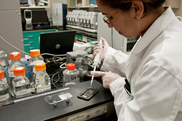 A toxicologist working in a lab