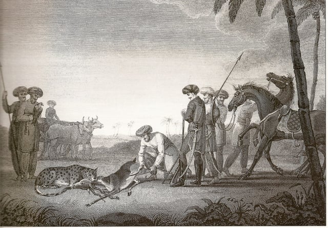Mughal aristocrats hunting a blackbuck alongside an Asiatic cheetah, 1812
