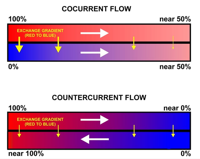 A comparison between the operations and effects of a cocurrent and a countercurrent flow exchange system is depicted by the upper and lower diagrams respectively. In both it is assumed (and indicated) that red has a higher value (e.g. of temperature) than blue and that the property being transported in the channels therefore flows from red to blue. Note that channels are contiguous if  effective exchange is to occur (i.e. there can be no gap between the channels).