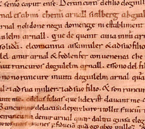 Fragment of the Greuges de Guirard Isarn (c. 1080–1095), one of the earliest texts written almost completely in Catalan, predating the famous Homilies d'Organyà by a century