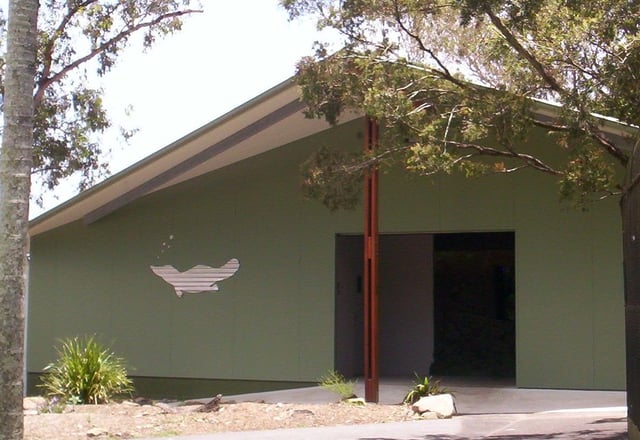 Platypus House at Lone Pine Koala Sanctuary in Brisbane, Queensland