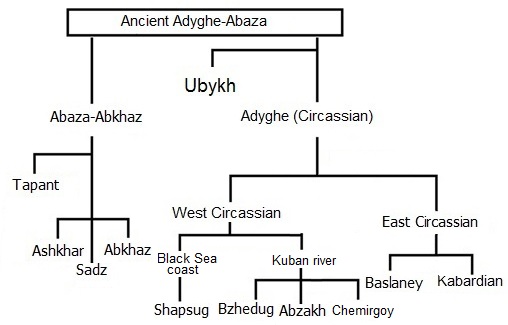 The isolated Northwest Caucasian language family