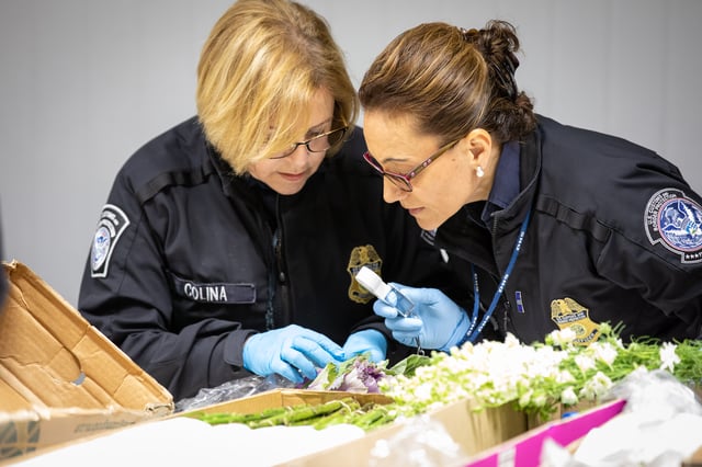 Agriculture Specialists inspecting flower imports