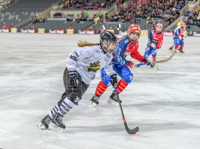 Bandy game in Sweden.