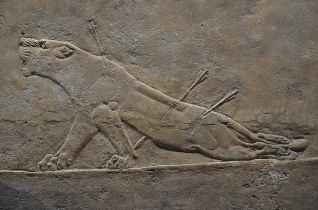 Bas-relief of a wounded lioness from Nineveh, ca. 645–635 BC during the Neo-Assyrian period