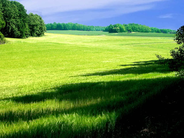 Landscape in Södermanland.