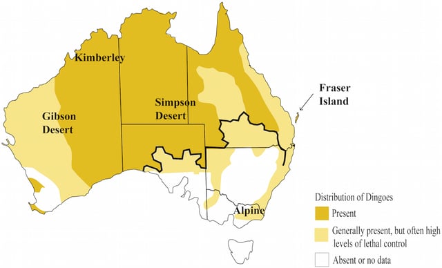 Distribution map of dingoes and dingo-dog hybrids: The black line represents the Dingo Fence