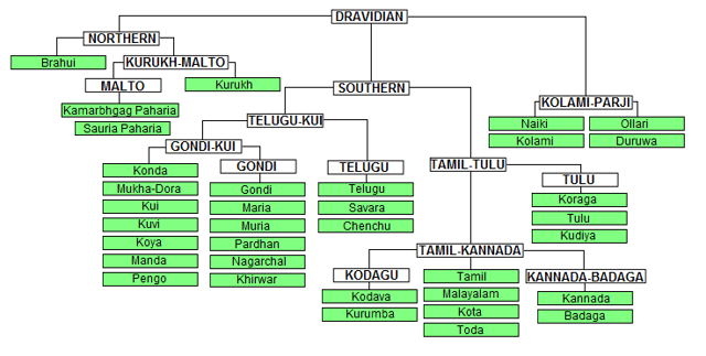 Dravidian language tree
