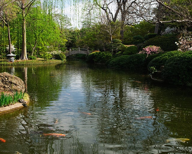 The Japanese Gardens at the Fort Worth Botanic Garden, 2011