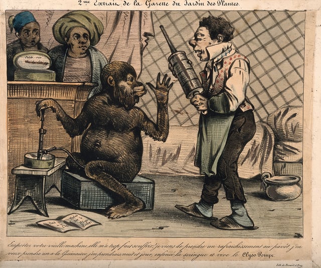 19th century satirical cartoon of a monkey rejecting an old style clyster for a new design, filled with marshmallow and opium