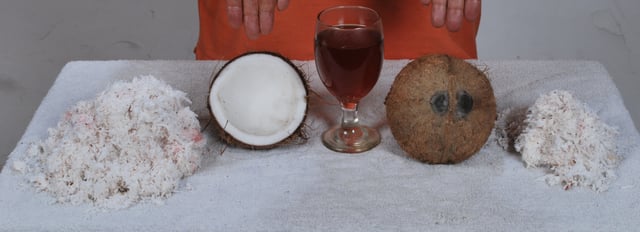 From left to right: grated, fresh, mature coconut meat; seed interior; oil, rare two-eyed coconut shell; and more grated meat (Philippines)