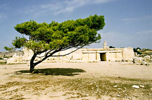 The Ħaġar Qim forecourt