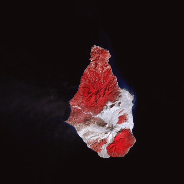 False colour satellite image of Soufrière Hills before and after a 2010 partial dome collapse. Red areas are living vegetation, grey areas are covered in volcanic debris