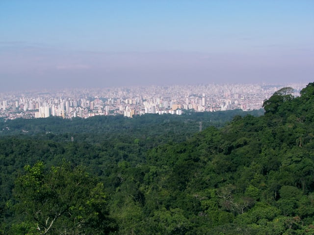 Cantareira State Park, part of the Green Belt Biosphere Reserve