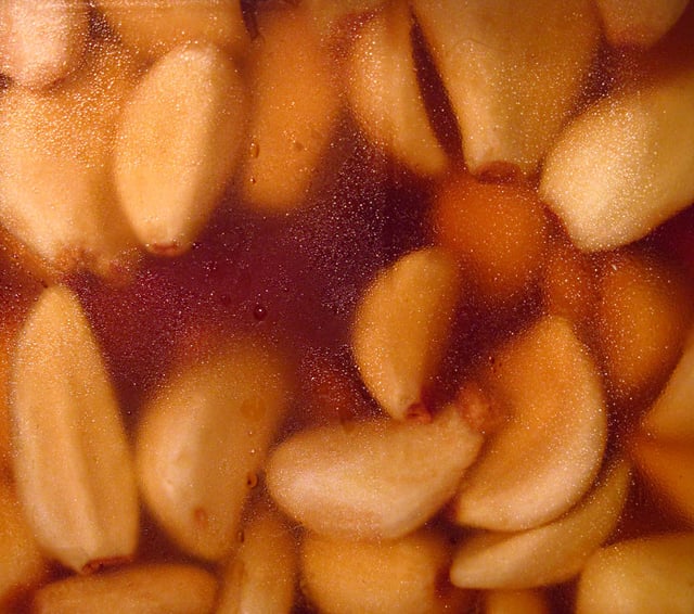 Garlic cloves pickled by simply storing them in vinegar in a refrigerator.