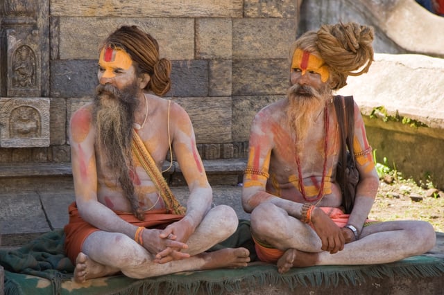 Two sadhus (ascetic monks) with their hair in traditional jaṭā style.