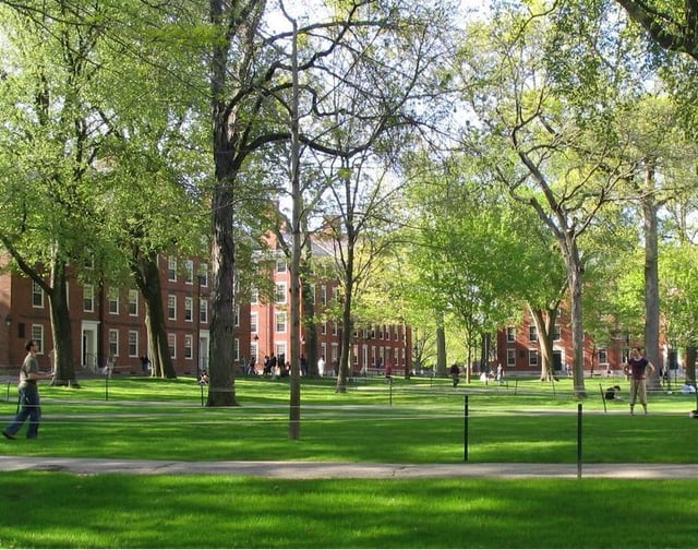 Freshman dormitories in Harvard Yard