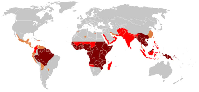 Distribution of malaria in the world: ♦ Elevated occurrence of chloroquine- or multi-resistant malaria ♦ Occurrence of chloroquine-resistant malaria ♦ No Plasmodium falciparum or chloroquine-resistance ♦ No malaria