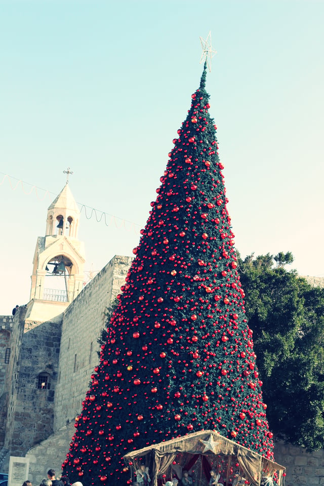 Christmas tree in Bethlehem, behind it Church of the Nativity, 2014
