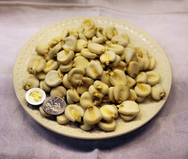 Dried maize mote, also known as hominy, is used in Mexican cuisine