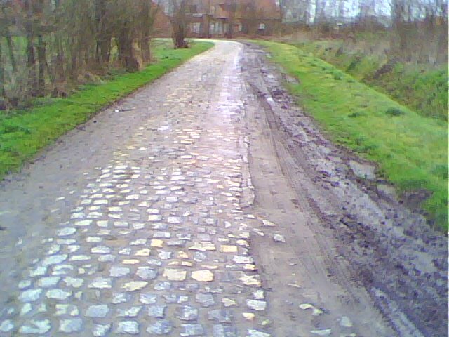 The first section of pavé at the Carrefour de l'Arbre
